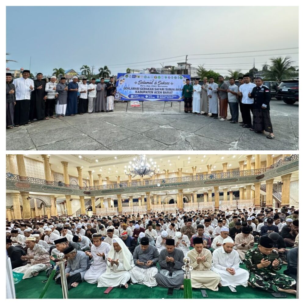 IMG_20261016_091243-COLLAGE